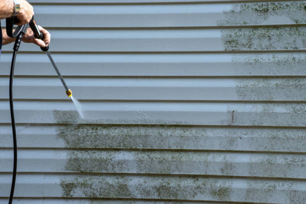 Best Composite Siding  in Glandorf, OH