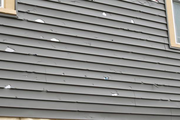 Best Wood Siding Installation  in Glandorf, OH