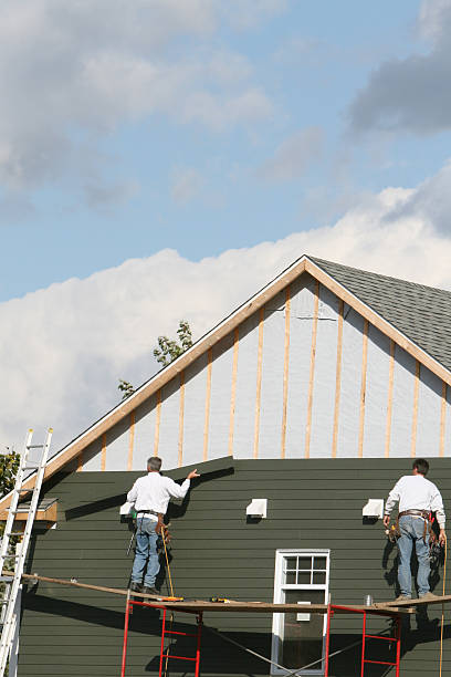 Best Stone Veneer Siding  in Glandorf, OH